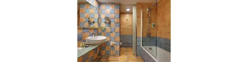 Occidental Playa de Palma 4*-68