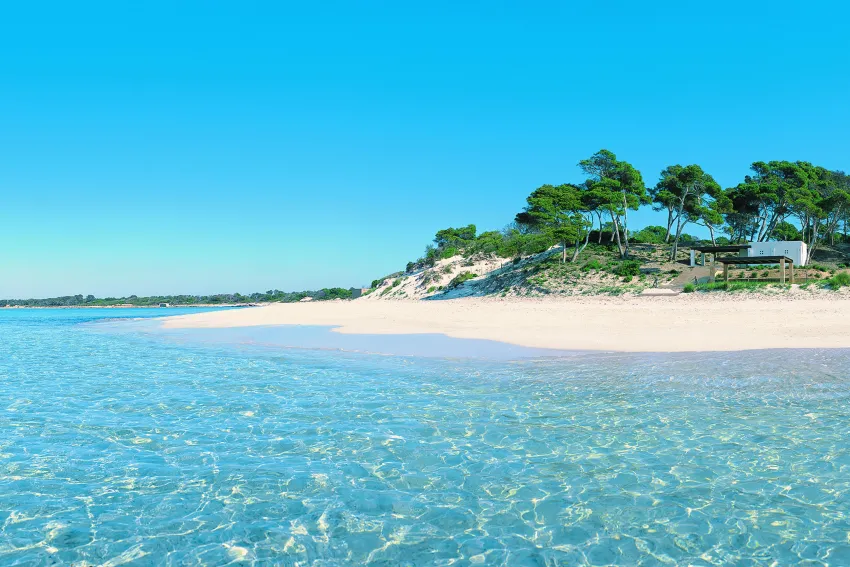 Blau Colonia Sant Jordi 4*-181