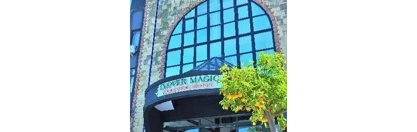 Clover Magic Park Side 3*-4