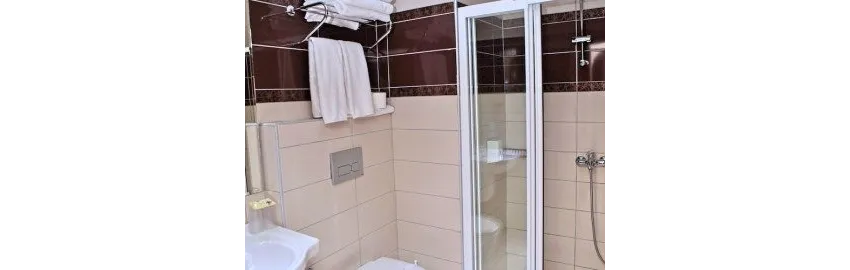 Blue Star Hotel 4*-8