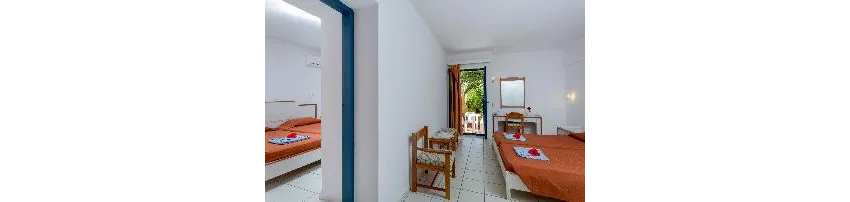Dessole Dolphin Bay 4*-13