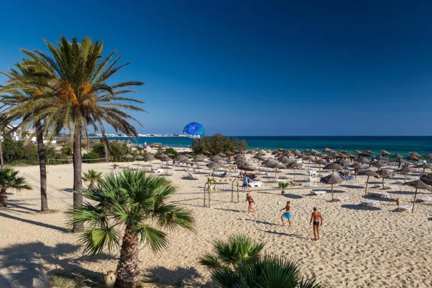 SENTIDO PHENICIA  4*-29