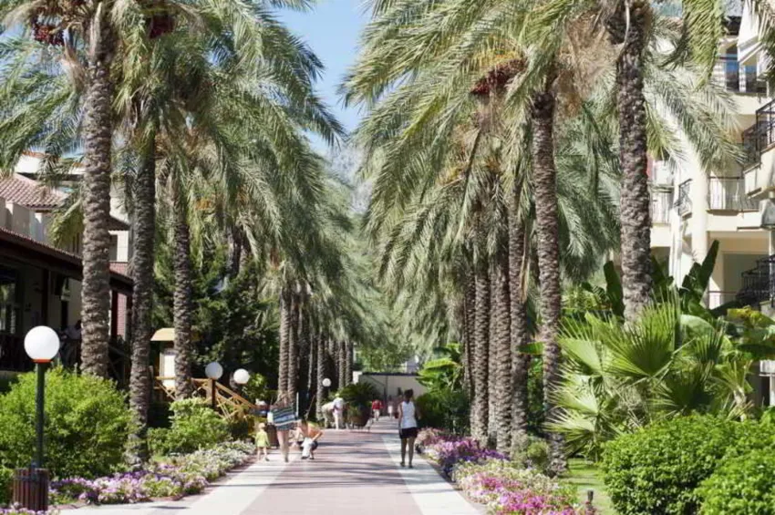 Crystal Aura Beach Resort & Spa 5*-59
