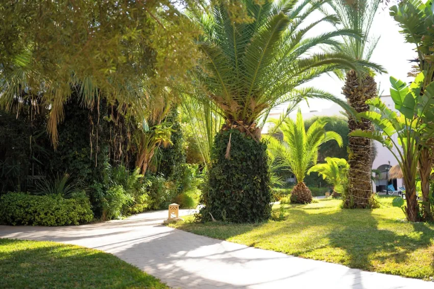 Eden Yasmine Resort & Spa 4*-59