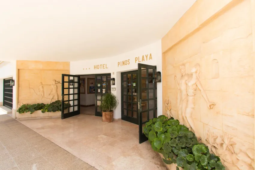 Pinos Playa Hotel 3*-9