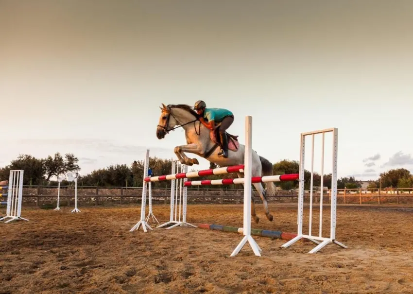 SENTIDO PHENICIA  4*-17