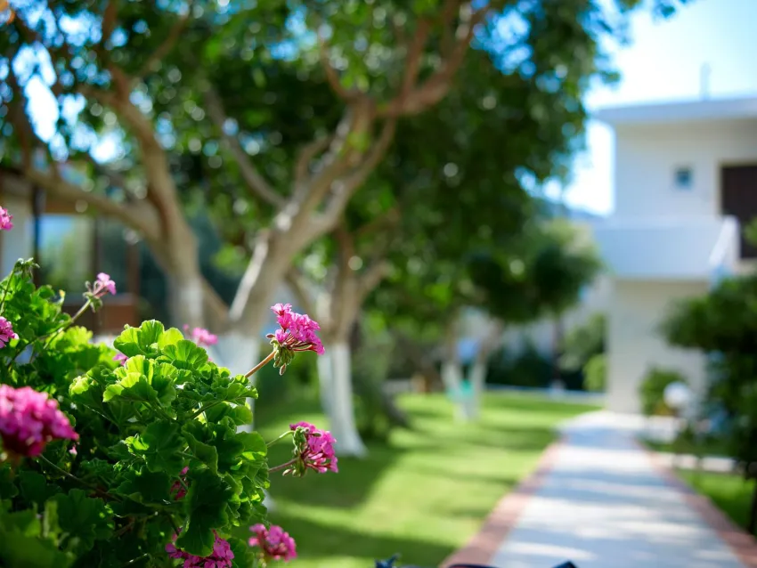 Katrin Hotel and Bungalows 4*-17