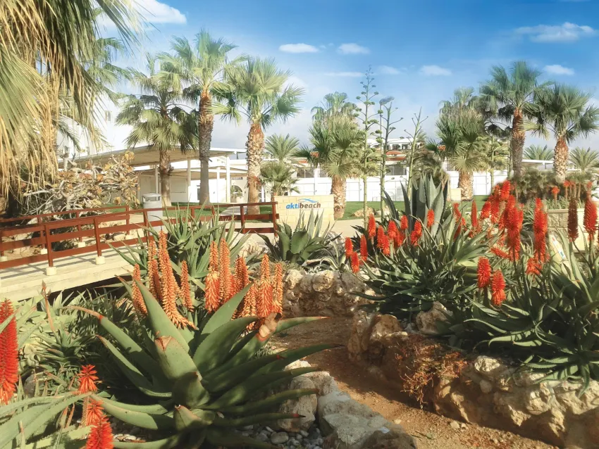 Akti Beach Hotel and Village Resort 4*-5