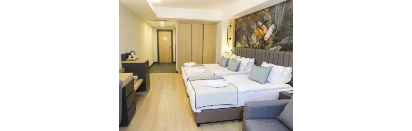 Side Zeugma Hotel (Adults Only +16) 4*-24