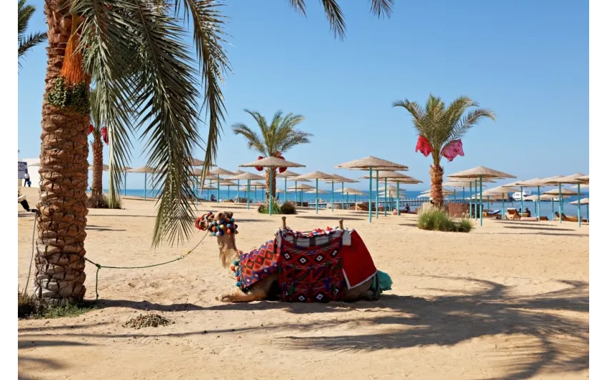 Sunny Beach Resort The Three Corners 4*-4
