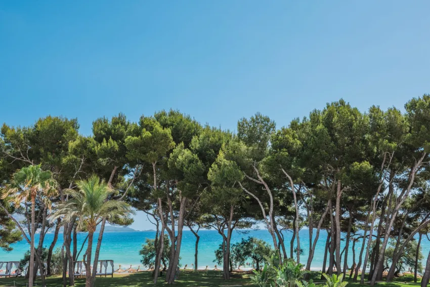 Iberostar Waves Playa de Muro 4*-29