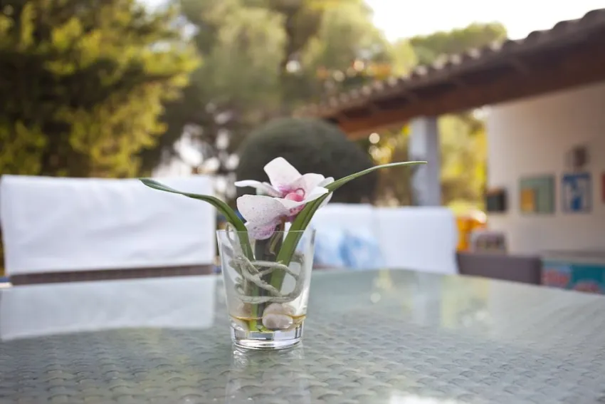 Europa Apartments 2*-29