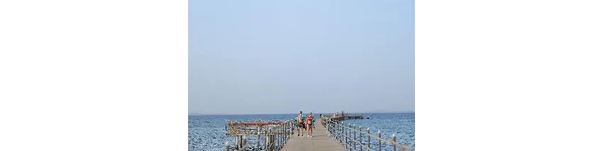 Jasmine Palace Resort & Spa 5*-6