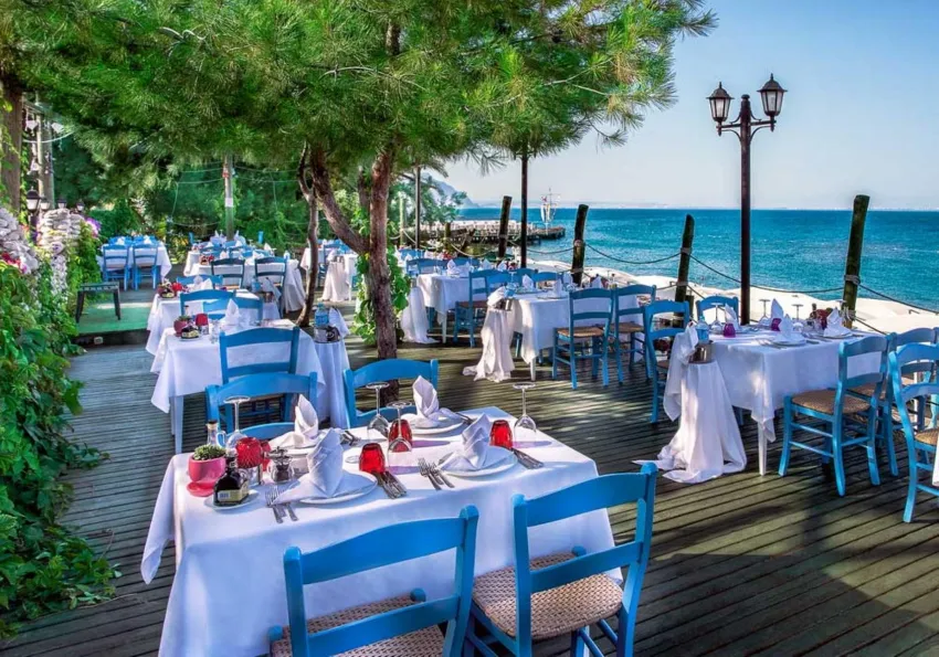 Gypsophila Club Marine 5*-20