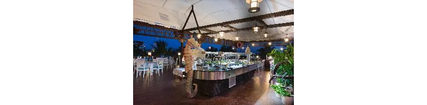 Kamelya Collection Fulya Hotel 5*-123