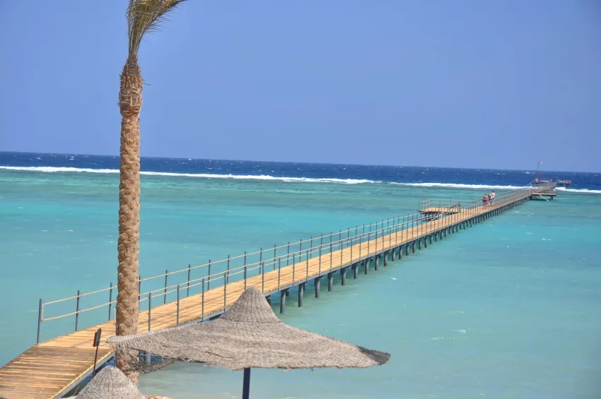 Blend Elphistone Resort Marsa Alam 4*-7