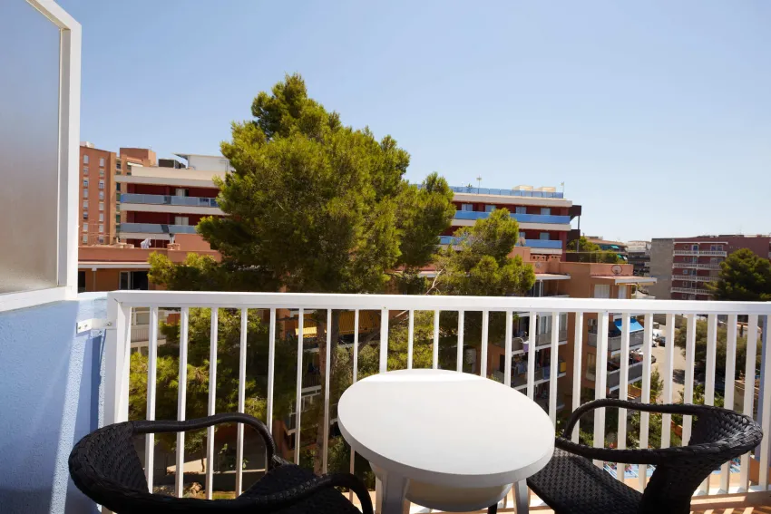 JS Paradise Sport - Adults Only 3*-11