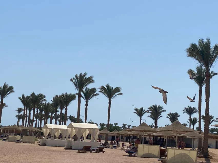 AURORA ORIENTAL RESORT  5*-30