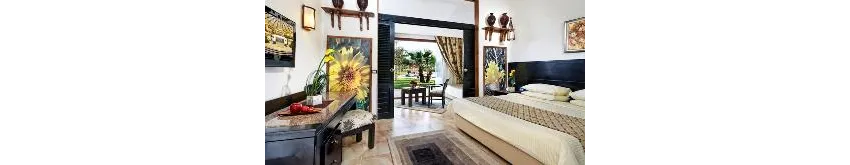 Pickalbatros Jungle Aqua Park Resort 4*-13