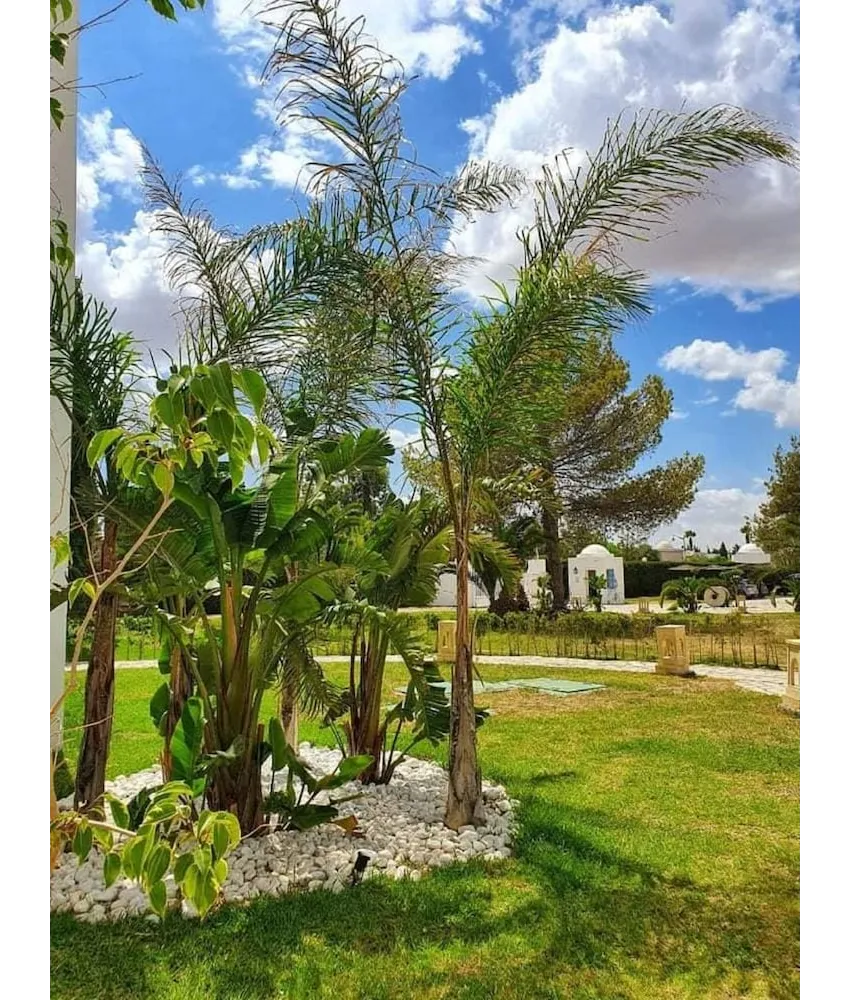 Hotel Bravo Garden 4*-23