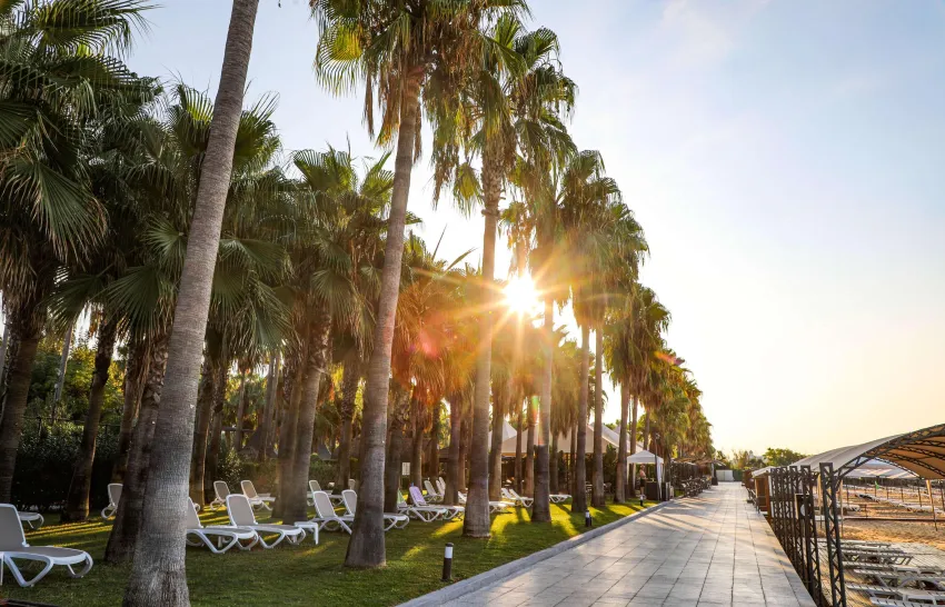 Miramare Beach Hotel 5*-309