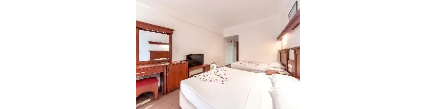 Wasa Hotel 3*-18