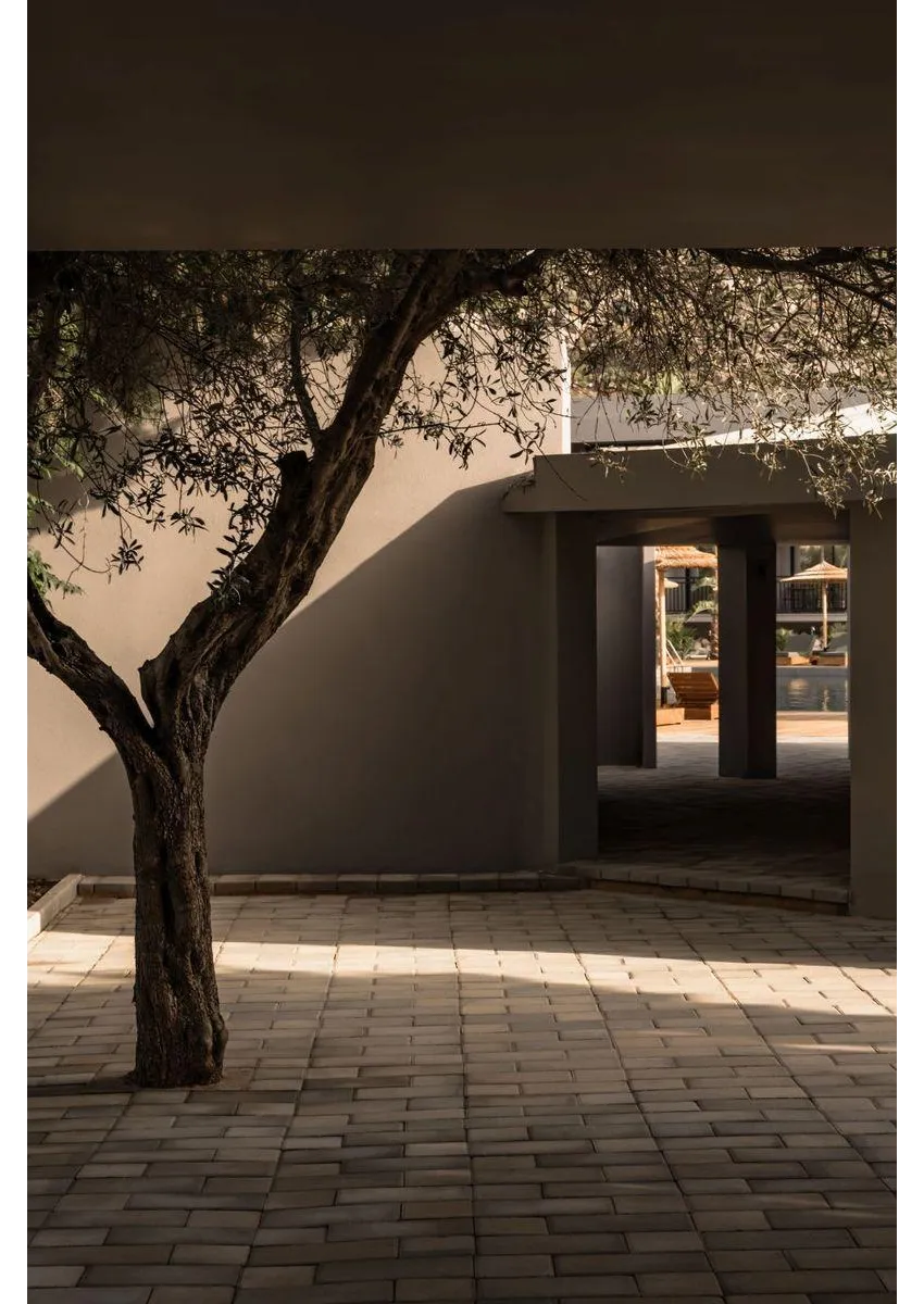 Cooks Club Kolymbia 5*-51