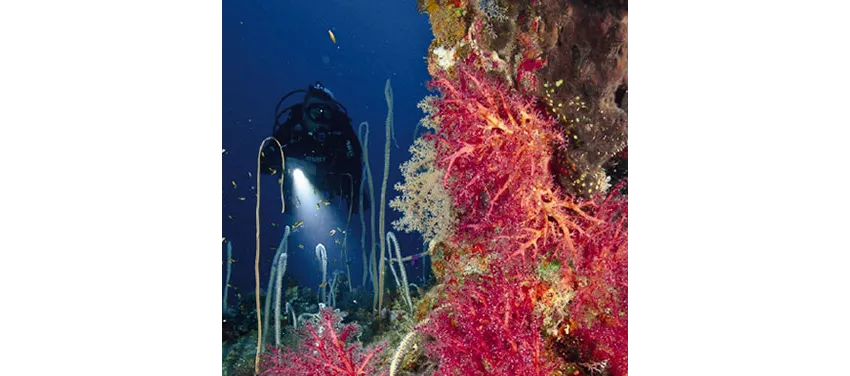 Radisson Blu Resort El Quseir ex SAS 5*-7