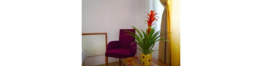 Ergun Hotel 3*-19