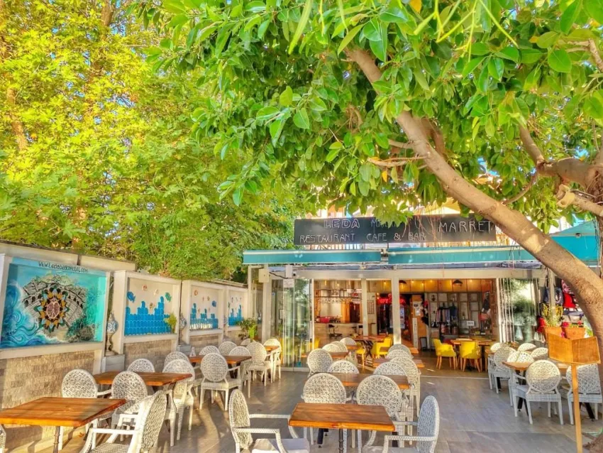 Leda Beach Hotel 3*-16