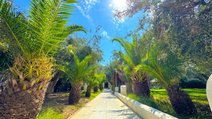 Hammamet Garden 4*-62