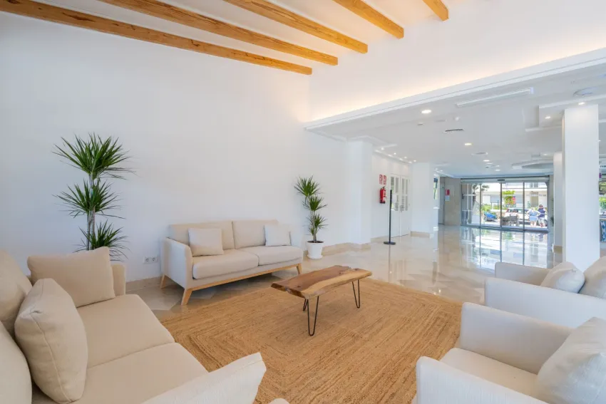 Ferrer Lime Isabel 3*-8