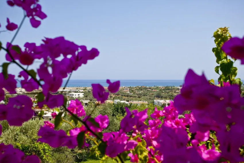 Hotel Iris 3*-27