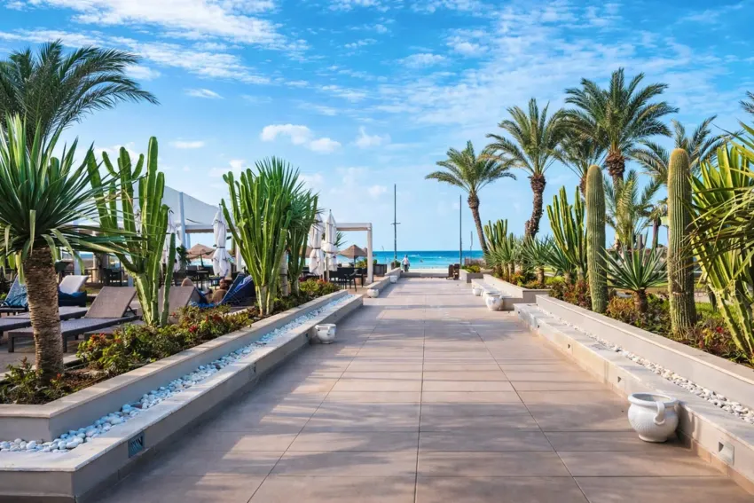 Rosa Beach Thalasso & Spa 4*-6