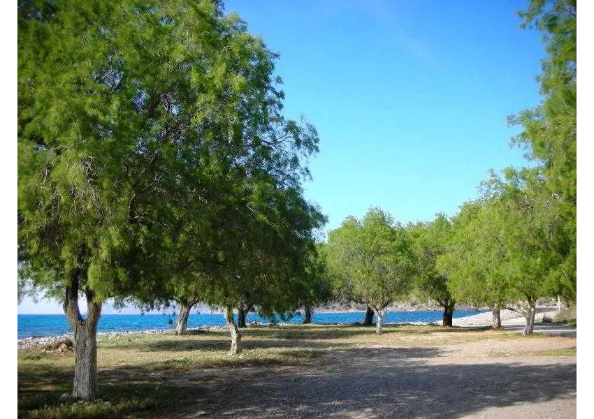 Ledra Maleme 3*-71