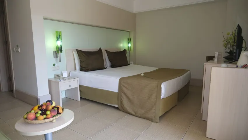 Ambassador Hotel 4*-13