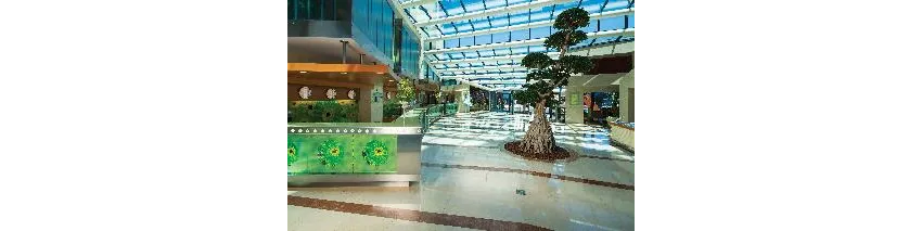 Cornelia Deluxe Resort 5*-28