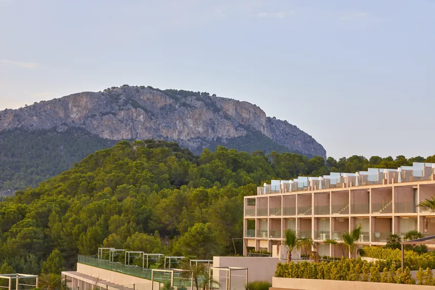 Zafiro Palace Andratx 5*-2