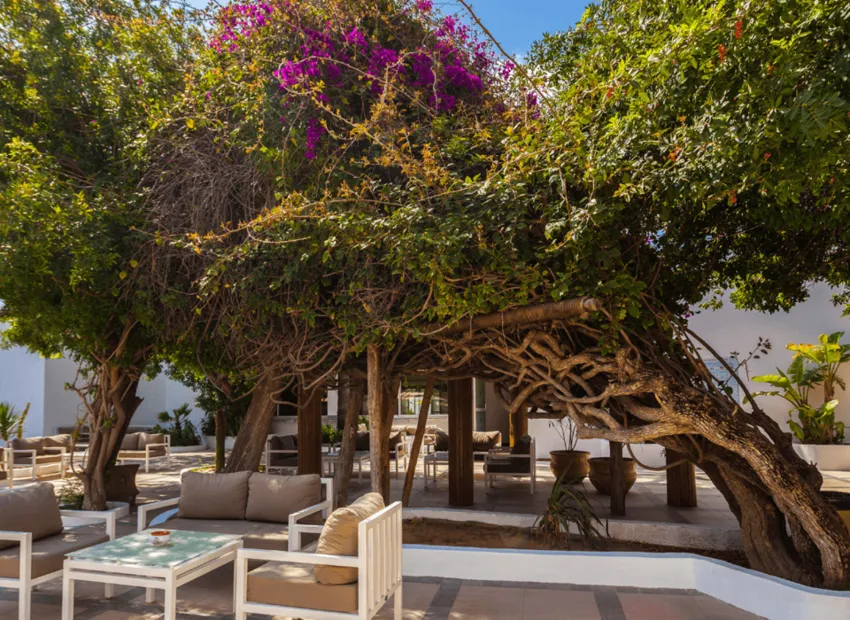 The Sindbad Hotel 5*-27