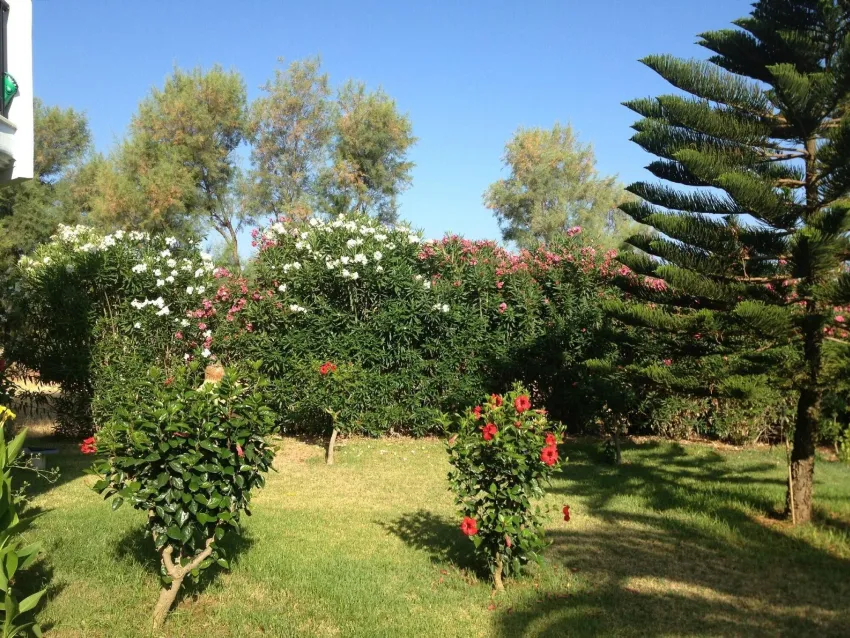 Lito Beach Hotel 3*-5