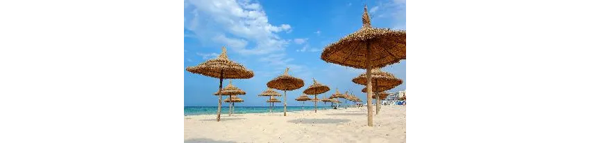 Golden Tulip President Hammamet 4*-10