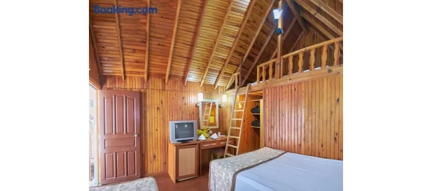Clover Magic Nova Beach ( Ex.Nova Beach Hotel) 3*-25