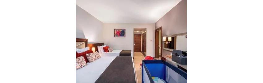 Leodikya Kirman Premium (Ex. Kirman Leodikya Resort) 5*-3