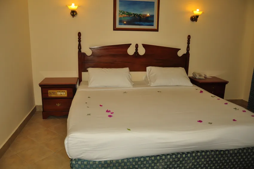 Titanic Resort & Aquapark 4*-10