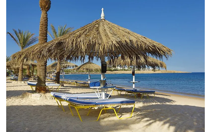 Jaz Sharm Dreams 5*-3