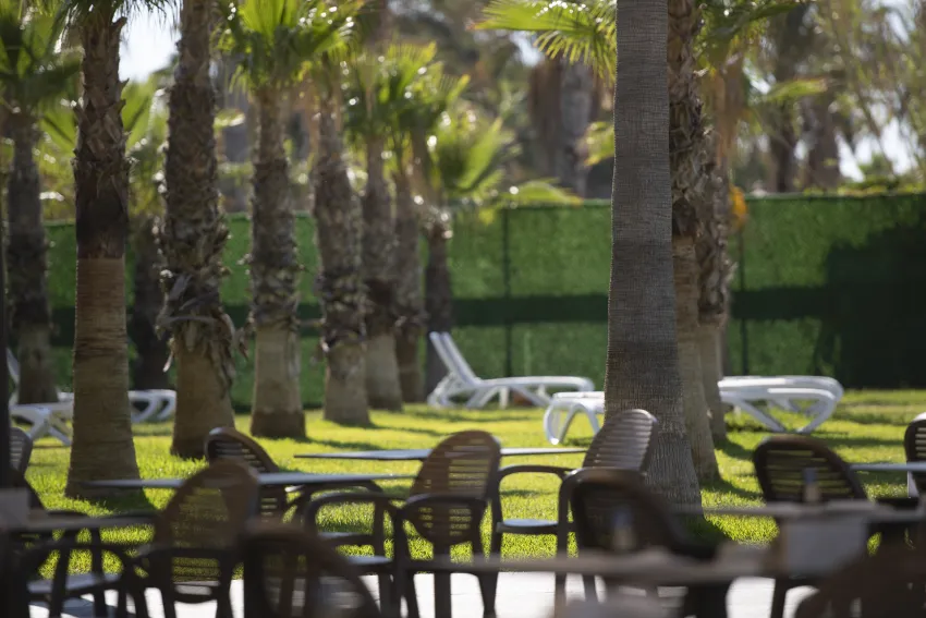 Miramare Beach Hotel 5*-239