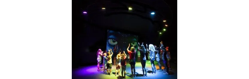 Terrace Elite Resort 5*-30