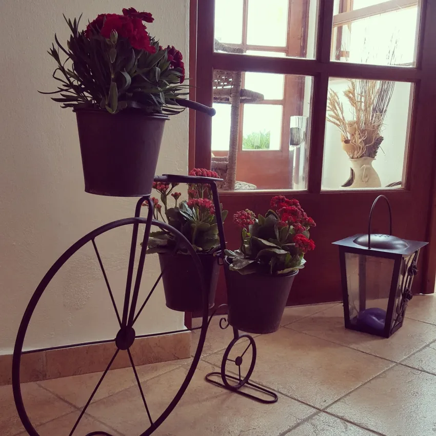 Amazones Village Suites 4*-25