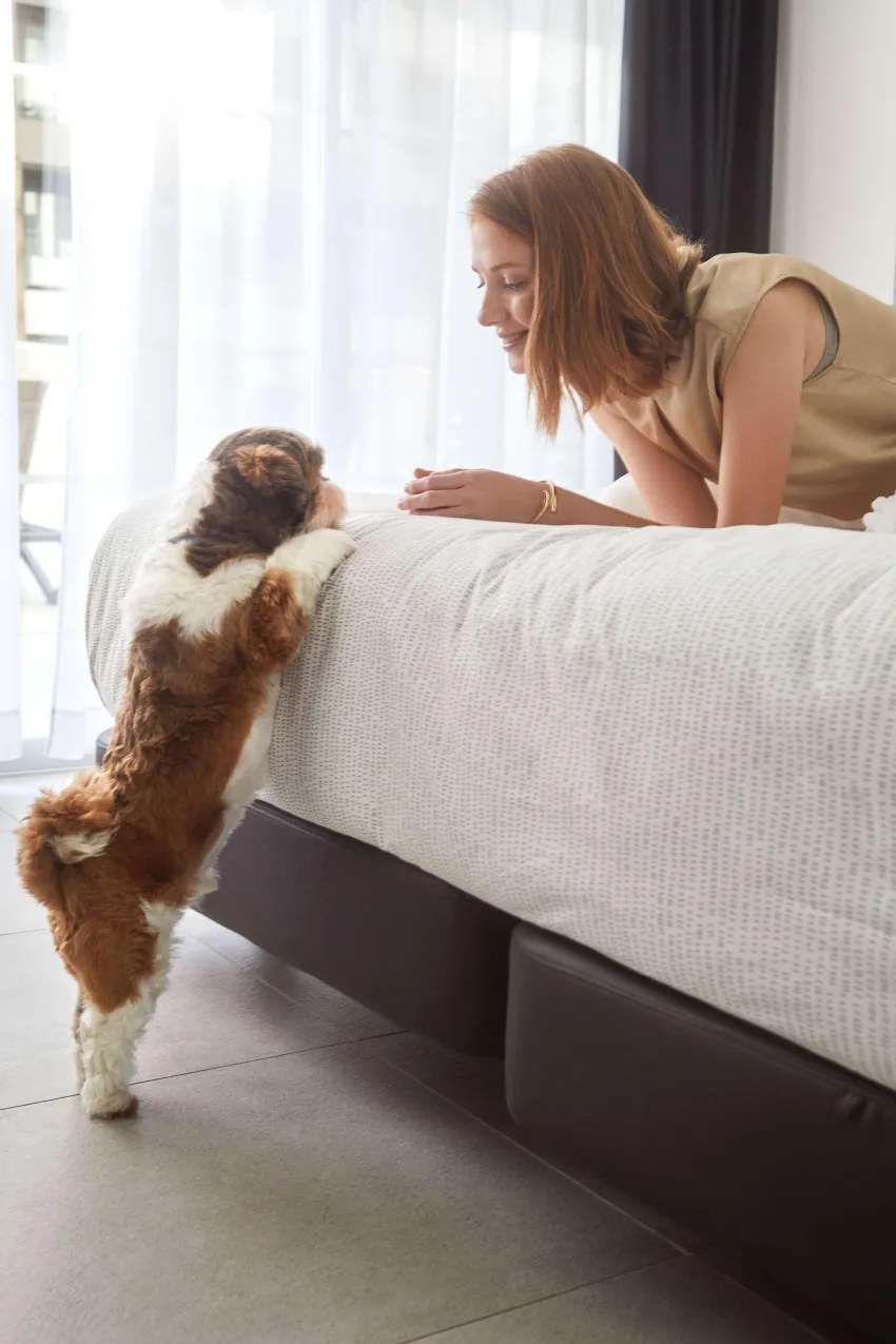 INNSiDE Alcudia 4*-316