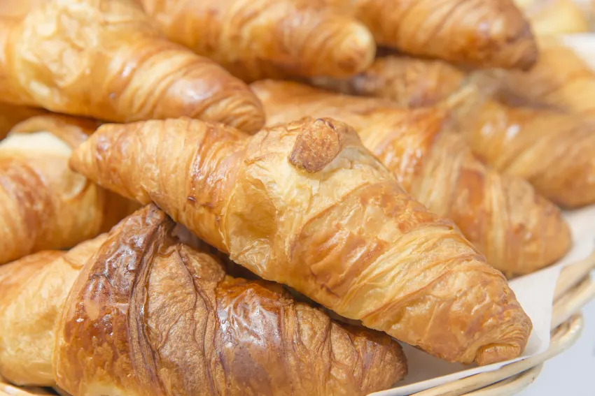 Flora Aparthotel -65